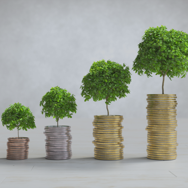 Lusteko to nie tylko klimat, to przede wszystkim korzyści dla Ciebie