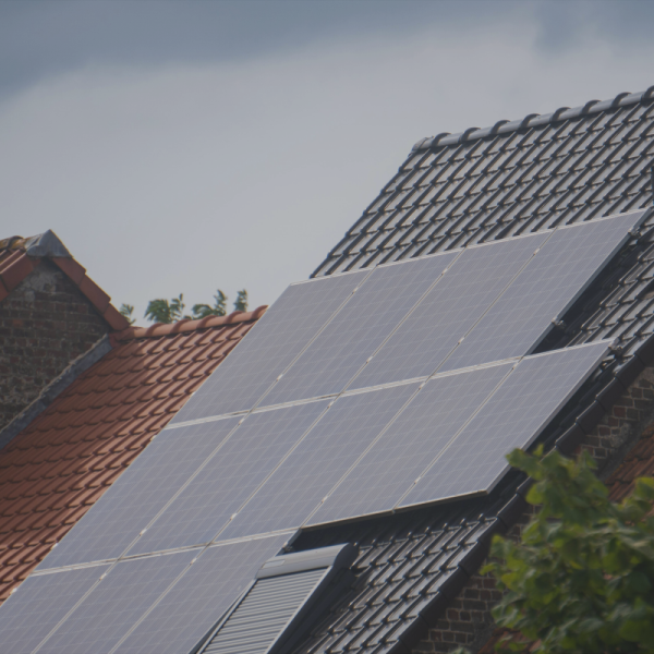 Czysta energia w Twoim domu lub firmie? Sprawdź rozwiązania dotyczące paneli fotowoltaicznych