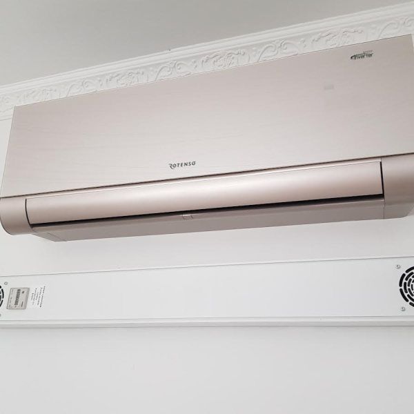 Lusteko i Rotenso na ścianie