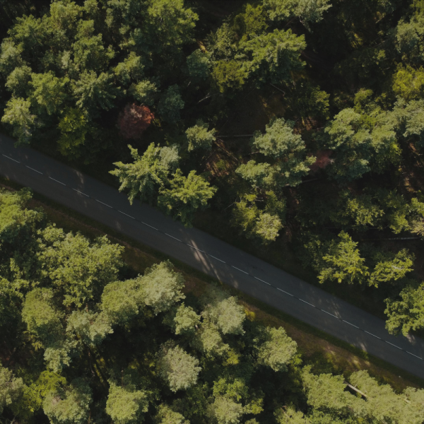 Lusteko kieruje się misją i wartościami, które są korzyścią dla Ciebie